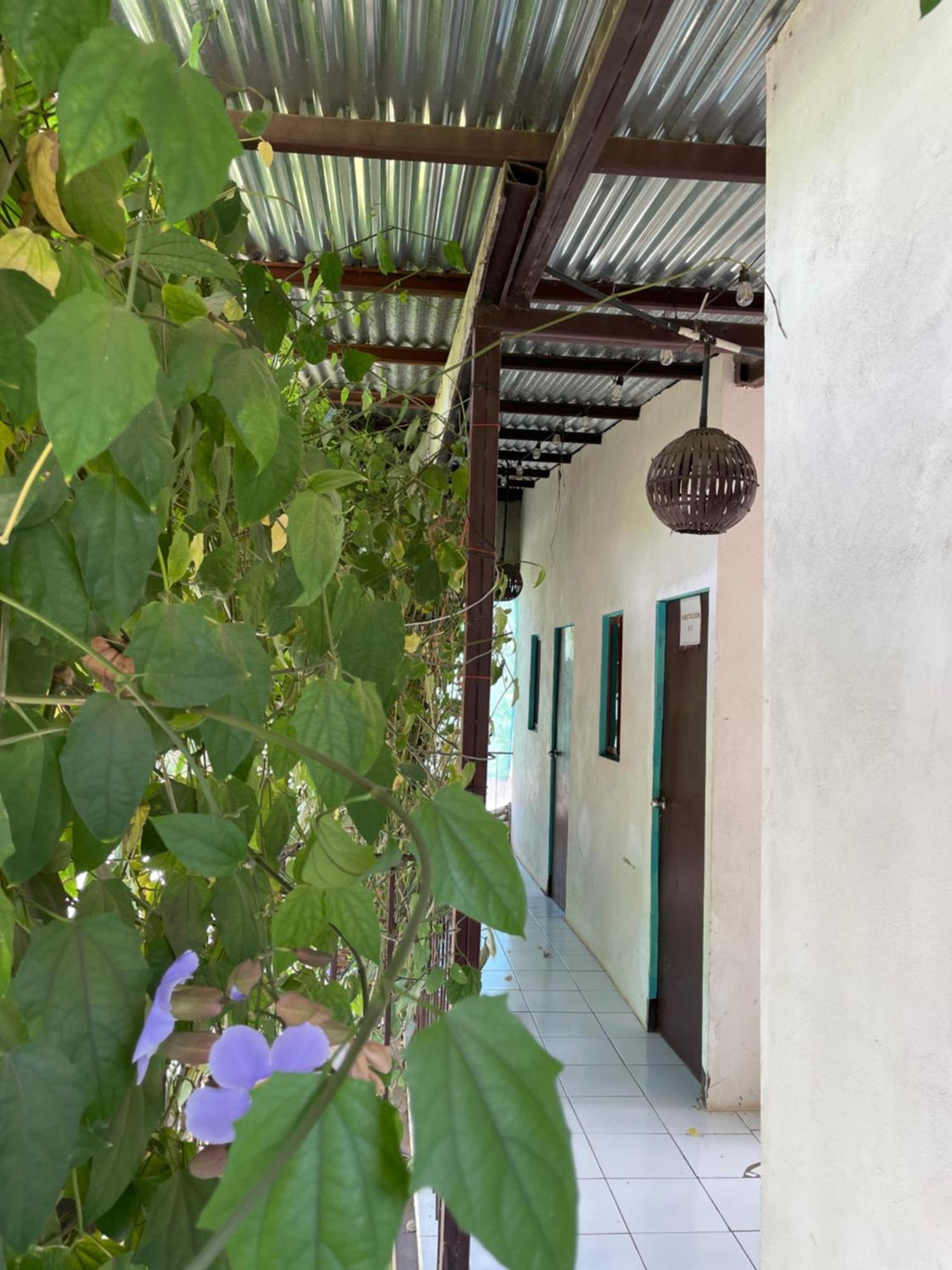 Hostal Isla Natal Мойогалпа Екстер'єр фото